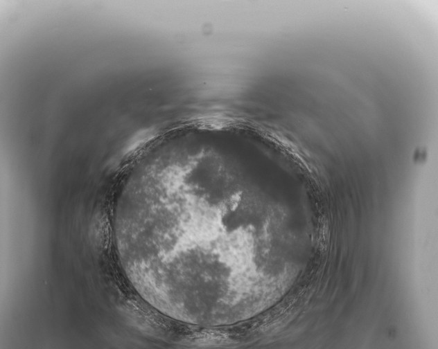 X0000095511446200712211229