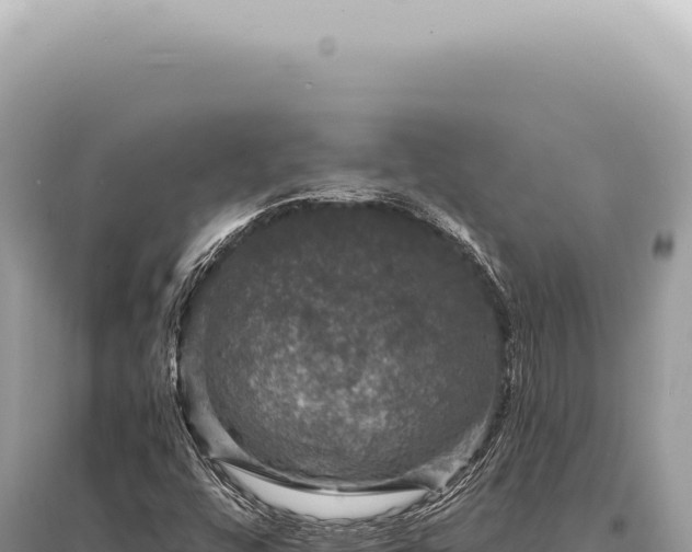 X0000095511448200712211229