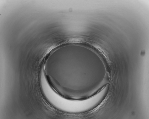 X0000095511449200712211229
