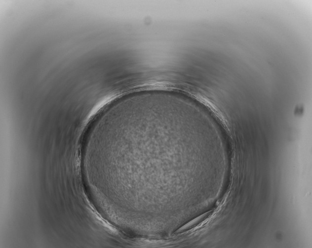 X0000095511450200712211229