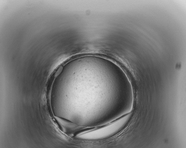 X0000095511452200712211229
