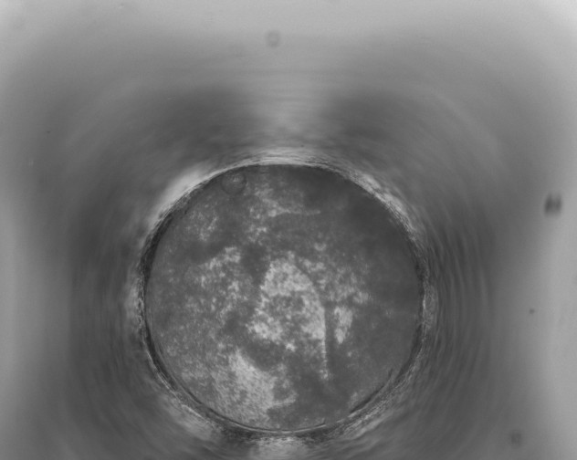 X0000095511454200712211229