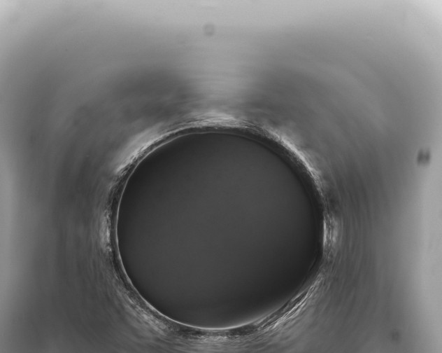 X0000095511455200712211229