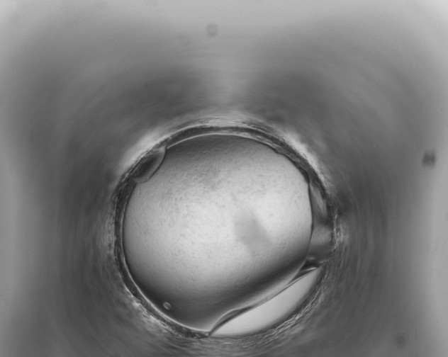 X0000095511456200712211229