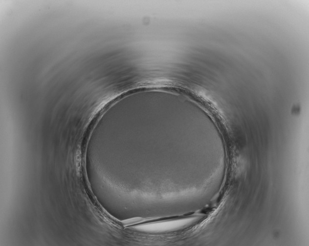 X0000095511457200712211229