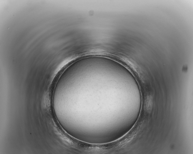 X0000095511458200712211229
