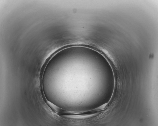 X0000095511460200712211229