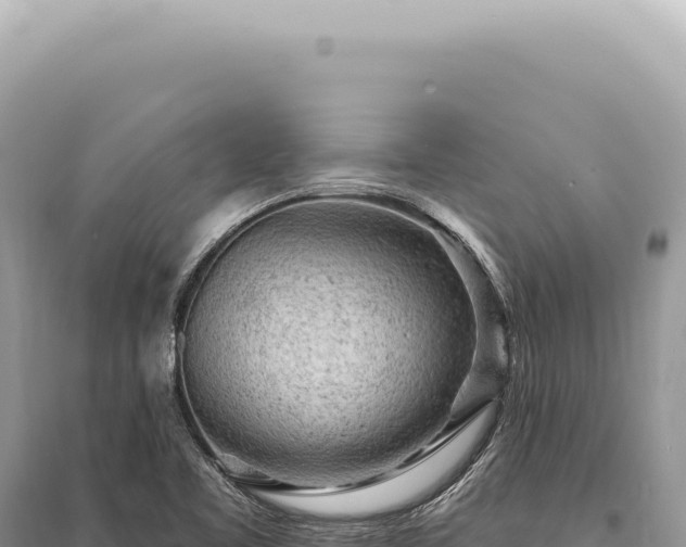 X0000095511461200712211229