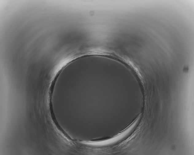 X0000095511463200712211229