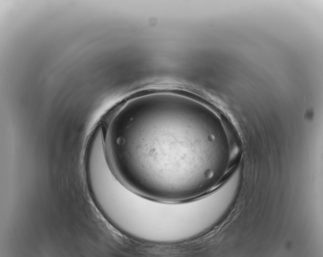 X0000095511464200712211229