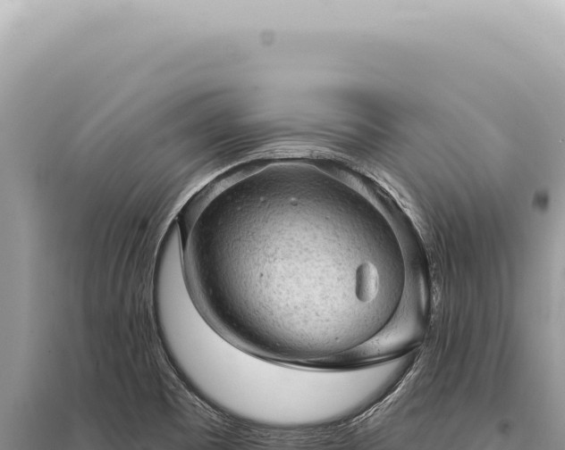 X0000095511465200712211229