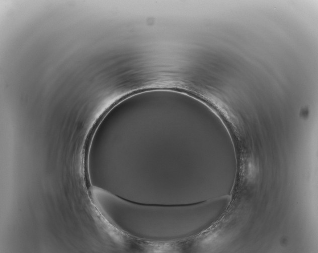 X0000095511468200712211229