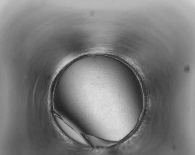 X0000095511469200712211229