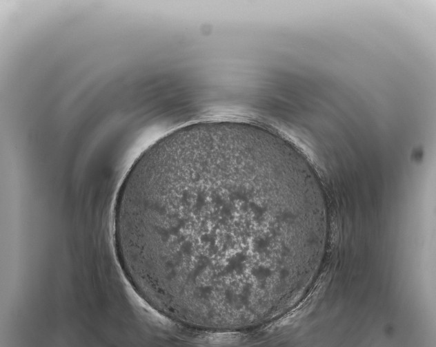 X0000095511471200712211229