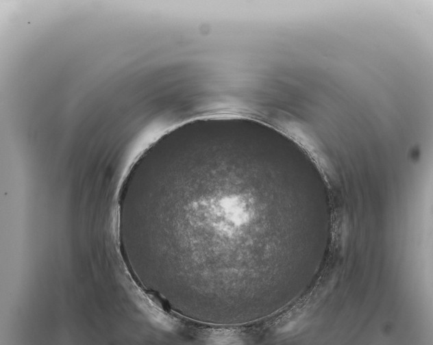 X0000095511472200712211229