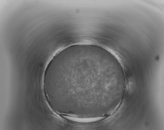 X0000095511477200712211229