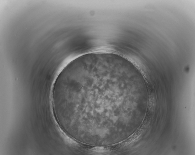 X0000095511478200712211229