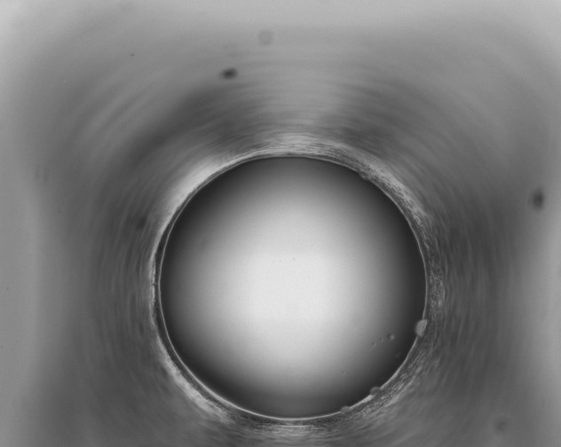 X0000095511479200712211229
