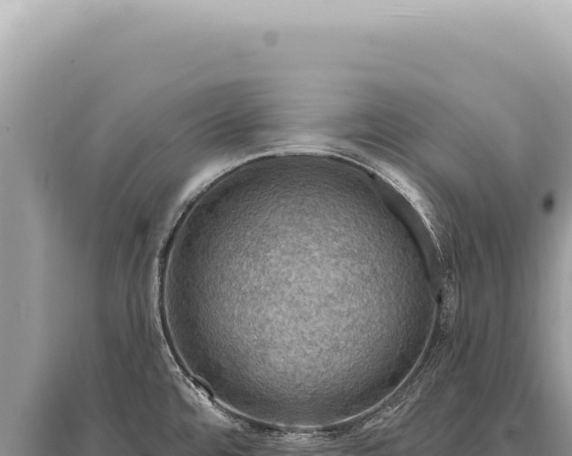 X0000095511480200712211229