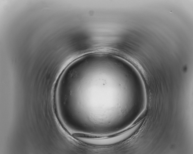 X0000095511483200712211229