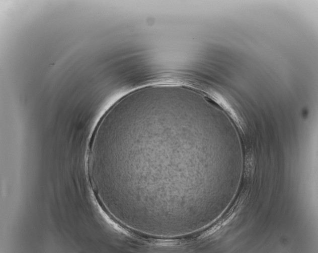 X0000095511484200712211229