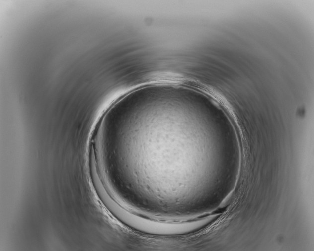 X0000095511488200712211229