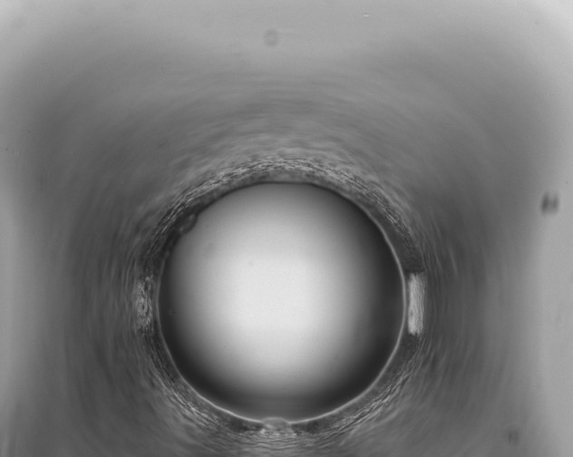 X0000095511491200712211228