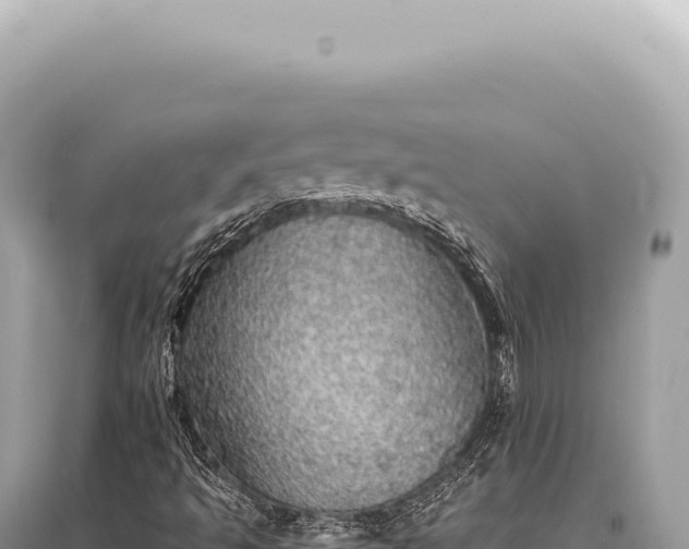 X0000095511493200712211228