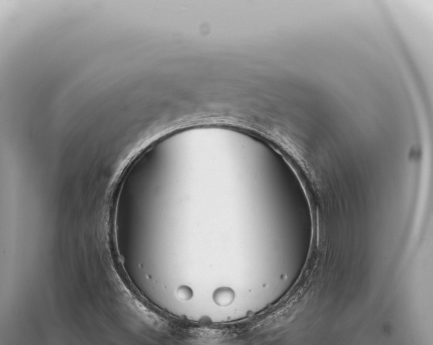 X0000095511500200712211228