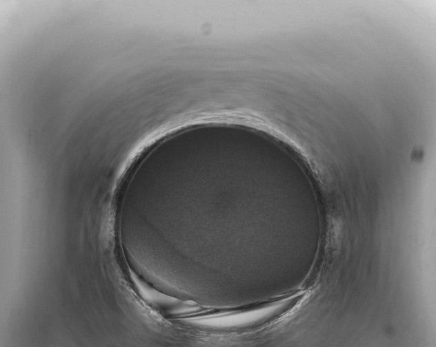 X0000095511506200712211228