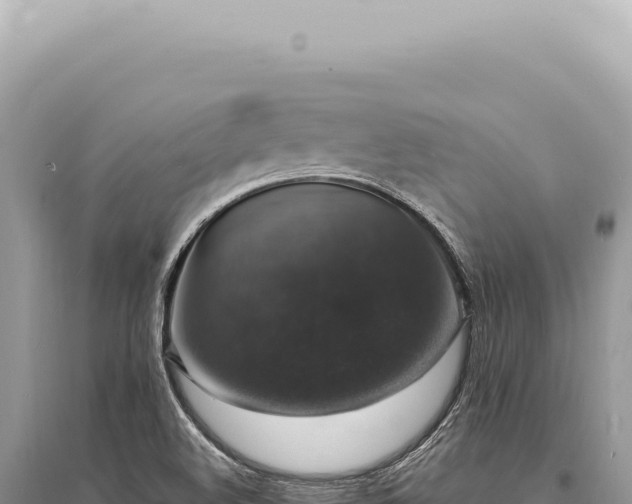 X0000095511508200712211228