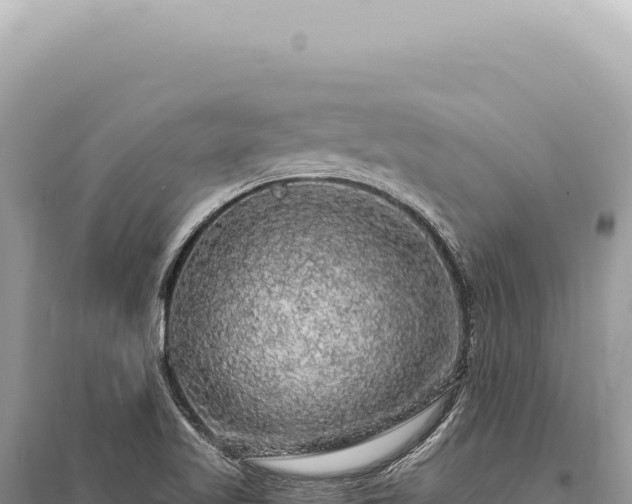 X0000095511509200712211228