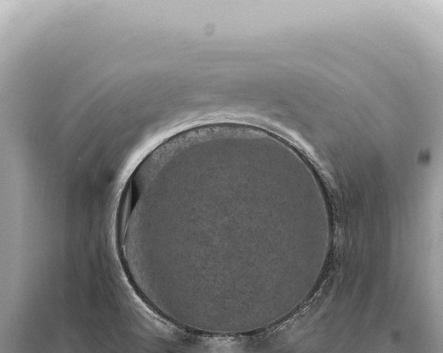 X0000095511512200712211229