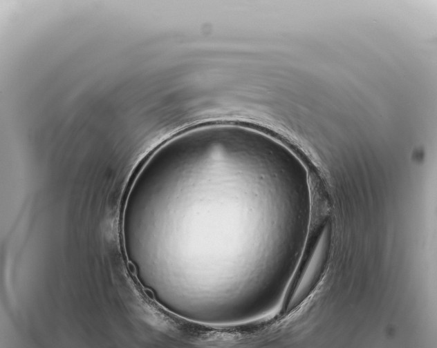 X0000095511513200712211229