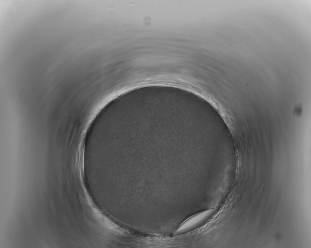X0000095511515200712211229