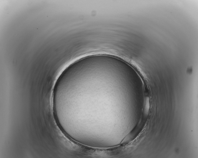 X0000095511516200712211229