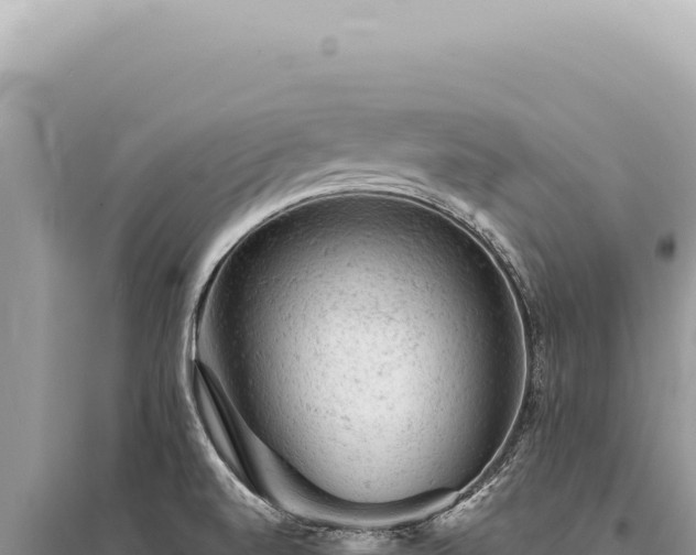X0000095511520200712211229