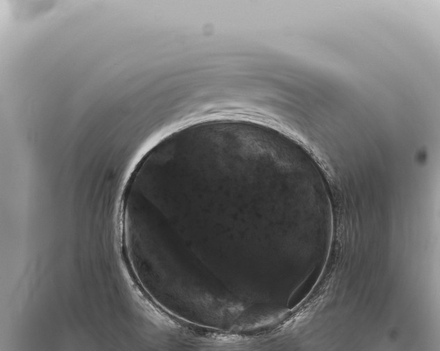 X0000095511522200712211229