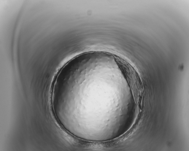 X0000095511525200712211229