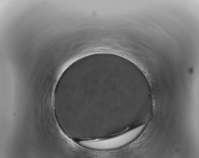 X0000095511527200712211229