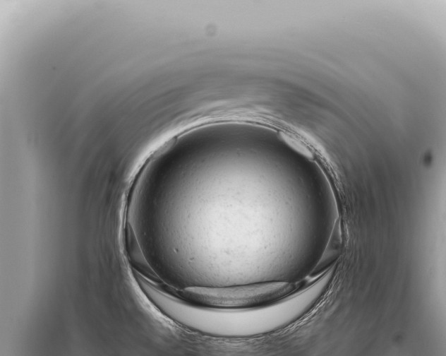 X0000095511528200712211229