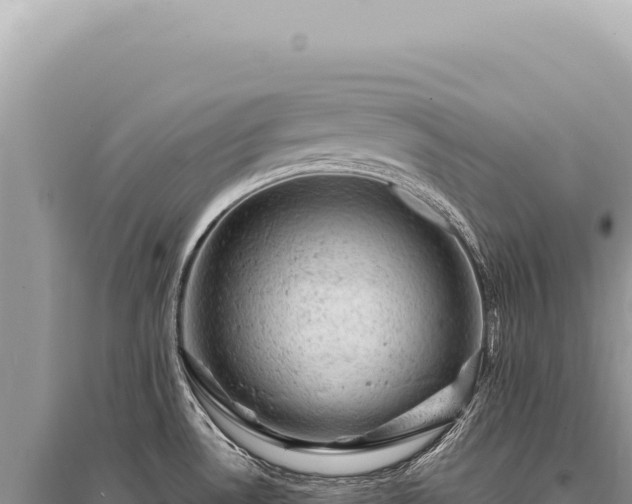 X0000095511530200712211229