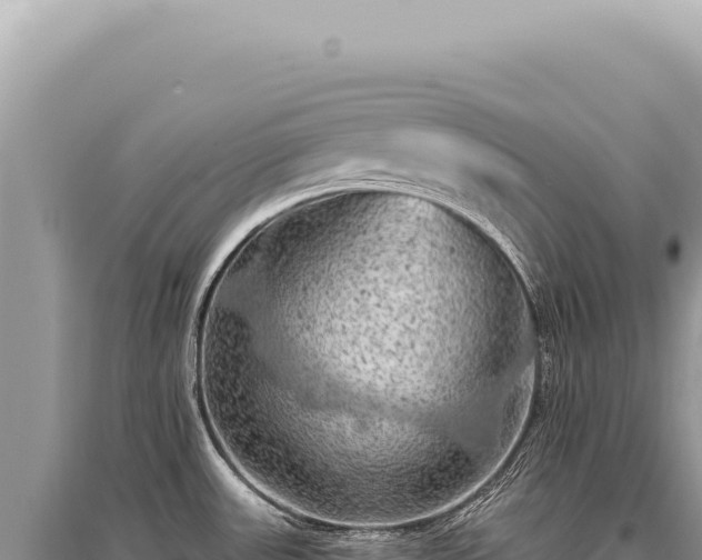 X0000095511531200712211229
