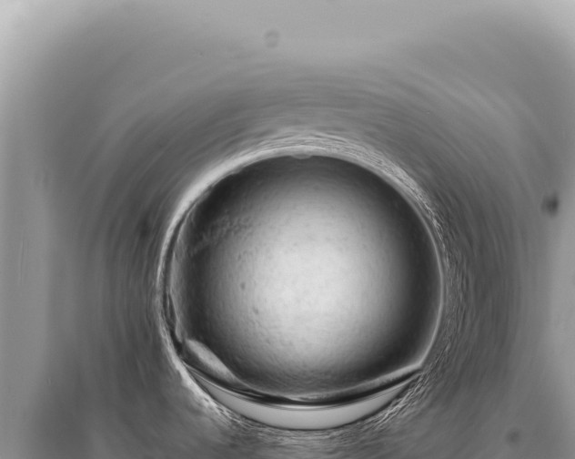 X0000095511536200712211229