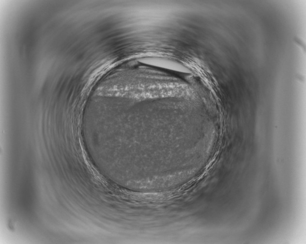 X0000095510001200712281448