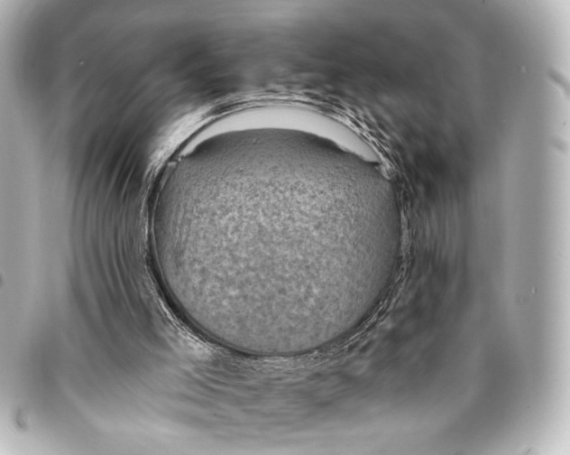 X0000095510005200712281448