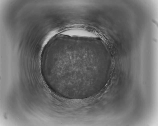 X0000095510006200712281448