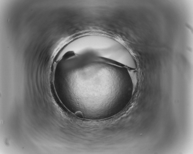 X0000095510007200712281448