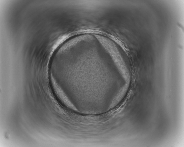 X0000095510008200712281448