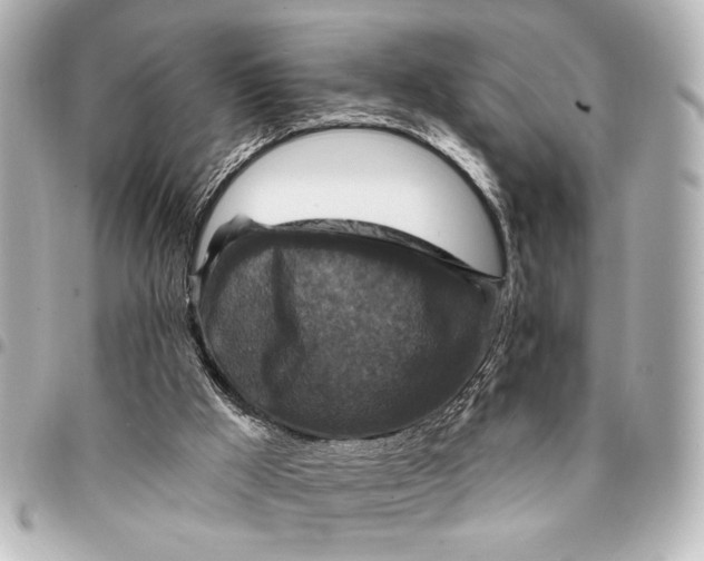 X0000095510009200712281448